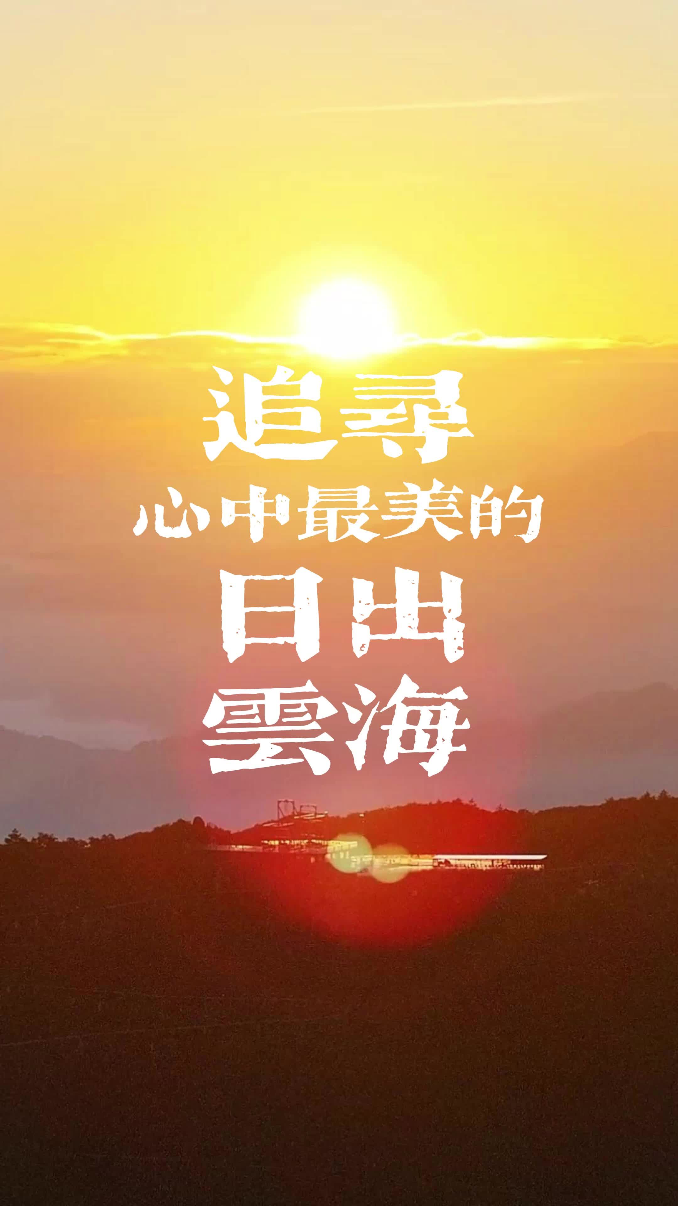 花开半夏：青春与成长的交织，爱情与梦想的追寻的简单介绍