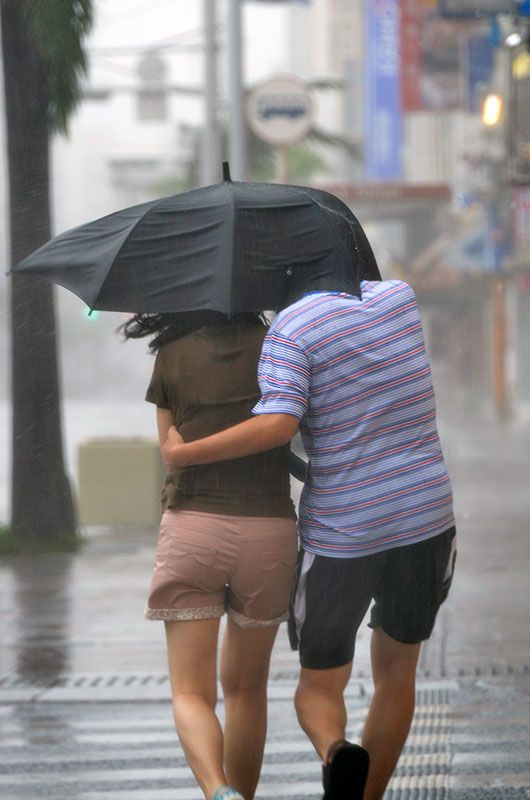 台风与爱情并行，那年夏天的台风如何探讨人性中的柔软与坚韧