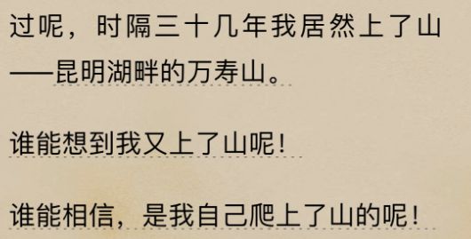 花红花火：揭示年轻人在梦想与现实之间的挣扎